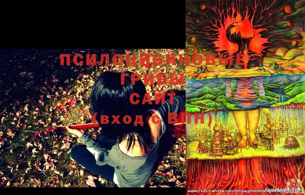 стафф Абинск