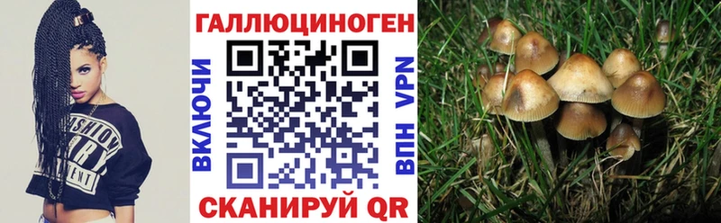 Галлюциногенные грибы мухоморы  Трубчевск 